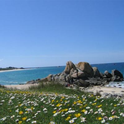 Divers Roscoff et mer