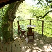 La terrasse de la cabane