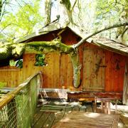 La cabane vue de la terrasse