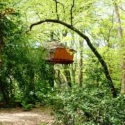 Cabane dans les arbres JONQUILLE