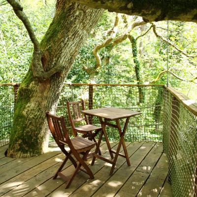 Cabane dans les arbres JONQUILLE