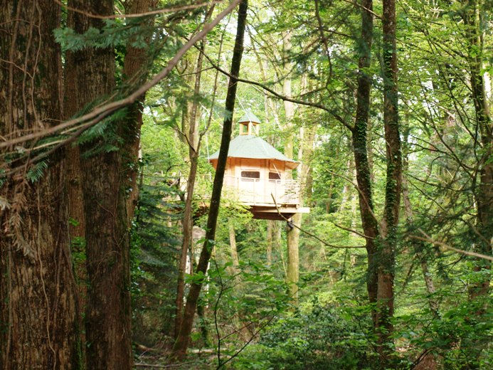 La cabane dans son environnement