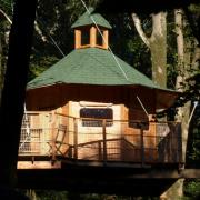 Cabane dans les arbres VIGIE