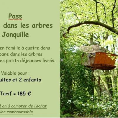 Bon cadeau cabane dans les arbres Jonquilles pour 2 adultes et 2 enfants